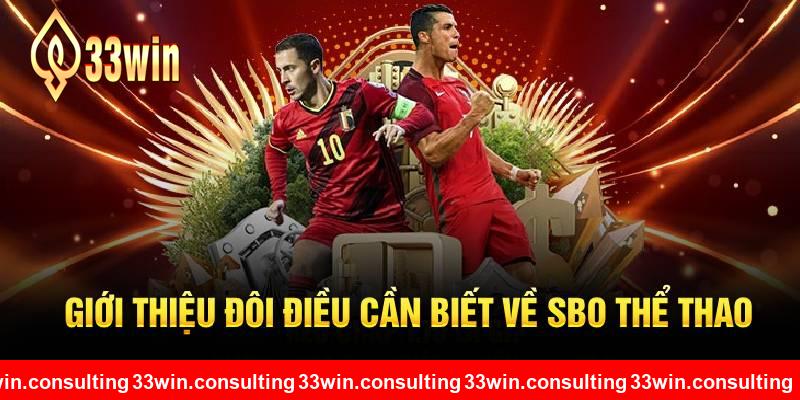 Giới thiệu đôi điều cần biết về SBO thể thao 33WIN